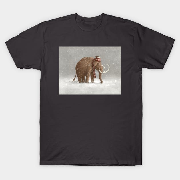 The Ice Age Sucked T-Shirt by Terry Fan